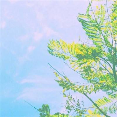 天涯群侠满v变态版下载