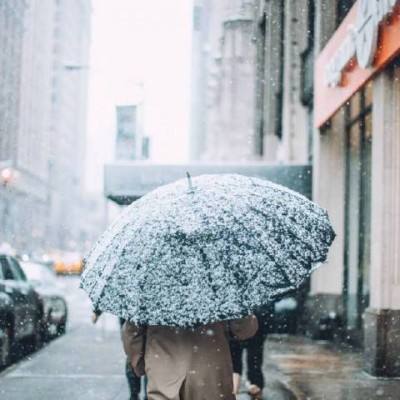 代号y手游下载