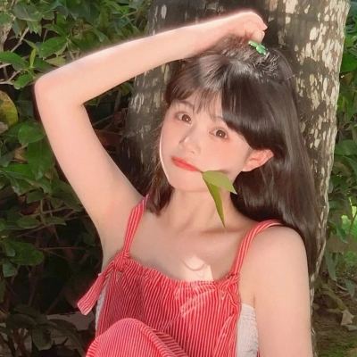 citraemulator手机版下载